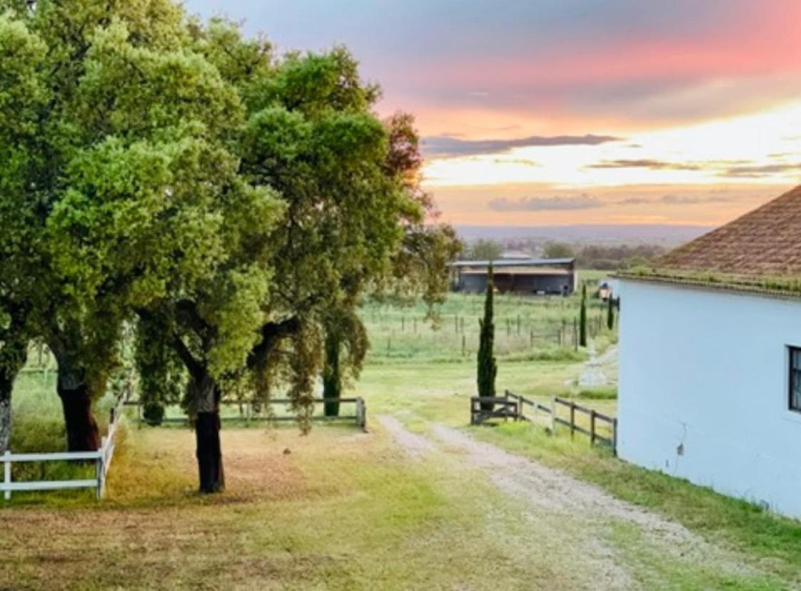Herdade De Santa Maria Almeirim Extérieur photo