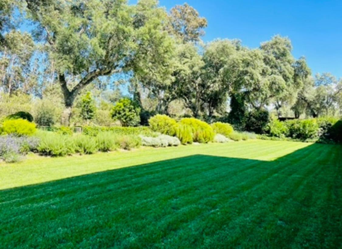 Herdade De Santa Maria Almeirim Extérieur photo