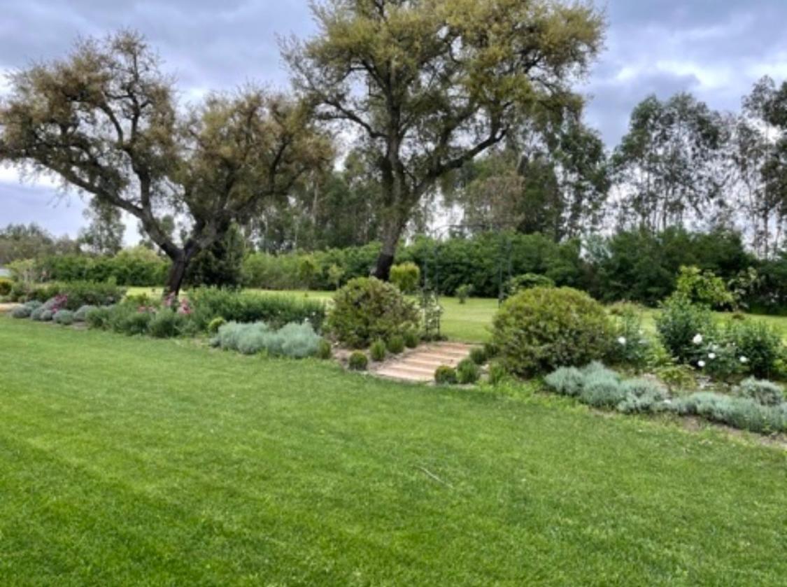 Herdade De Santa Maria Almeirim Extérieur photo